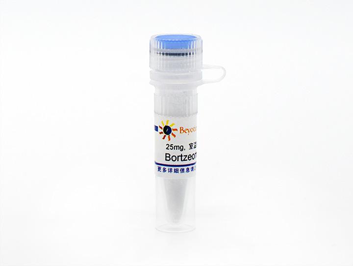 Bortzeomib (PS-341) (Proteasome抑制剂)